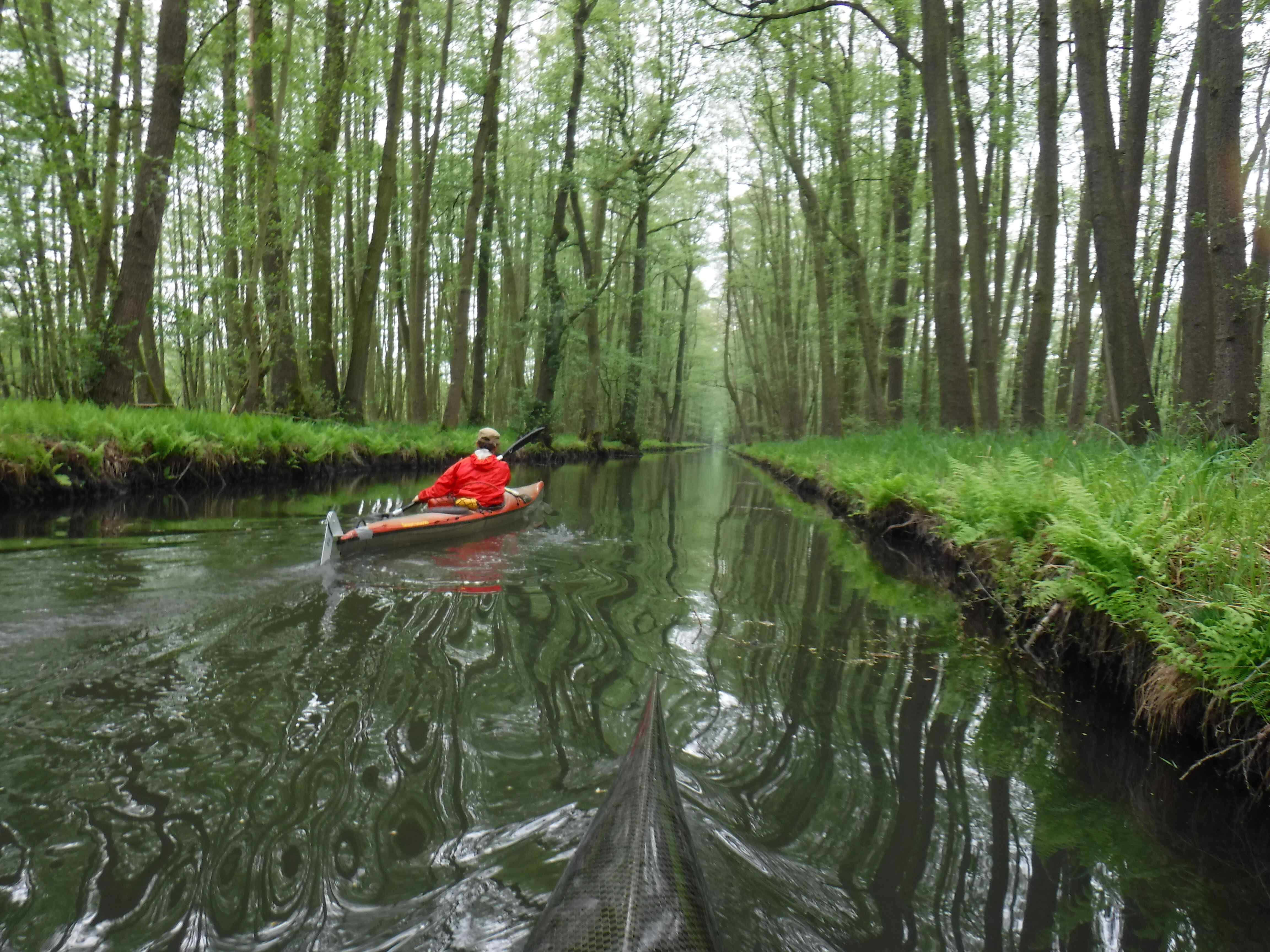 Spreewald 2019 kl 1